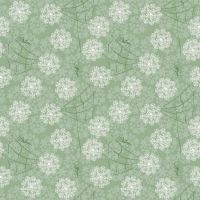 dsStella-DCM3822 SAGE